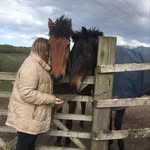 Beth Morley - @beth_morley_equestrian_new - Instagram