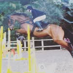 Beth Morley - @beth_bertie - Instagram