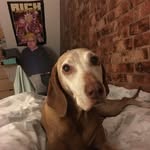 Beth Morley - @eli3abeth20 - Instagram