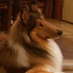 Beth-Ellen Morrill Healey - @morrillhealey - Instagram