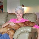 Beth Morrill - @bethannemorrill - Instagram