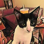 Beth Morrill - @morrillbeth - Instagram