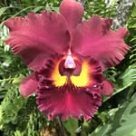Betty Mortenson - @bettymorten - Instagram