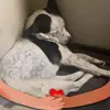Beth Morton - @beth.morton5 - TikTok