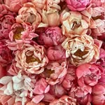 Beth Mott Suter - @beth.mott.suter - Instagram