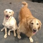Beth Mottola - @bethmottola - Instagram