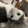 Beth - @bethmountz - TikTok