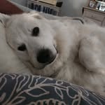 Beth Mount - @bethmount99 - Instagram