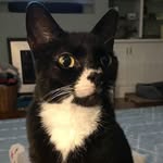 Mary Beth Mount - @mbmount27 - Instagram