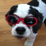 Beth Mulvaney - @nonna_mulvaney - Instagram