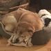 Beth Munn - Facebook