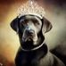 Beth Munro - Facebook