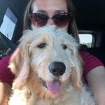 Beth Halayko Murdock - @bhmurd - Instagram