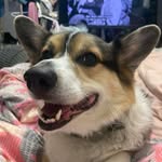 Beth Kelley Murdock - @andrethegianttortoise - Instagram