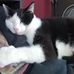 Elizabeth Murdock - Facebook