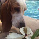 beth murley - @murleyrph - Instagram