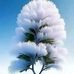 Beth Mwaura - Facebook