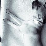 Beth Shifflett Nace - @beth.s.nace - Instagram