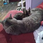 Beth Nadeau - @bethnadeau8i8 - Instagram