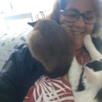 Beth Narciso - @bethnarciso - Instagram