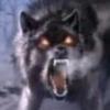 🐺 - @bethnation13 - TikTok