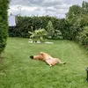betinauhmann - @betinauhmann - TikTok