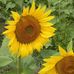 Beth Needham - Facebook