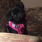 Betsy Niblock Pearce - @pearce.betsy - Instagram