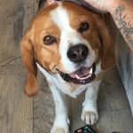 Beth Nugent - @bethnug44 - Instagram
