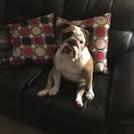 Beth Oliva - @beth.oliva.7543 - Instagram