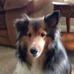 Beth Olson - @betholson5504 - Instagram