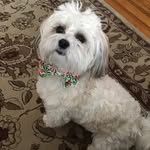 Betty Oltman - @bettyoltman - Instagram