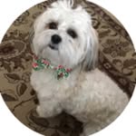 Betty Oltman - @betty.oltman - Instagram