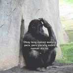 Beth Roa Oman - Facebook