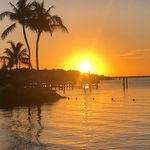Beth Oppel - @bethoppel - Instagram
