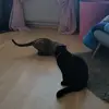 BethDoppermann - @bethdoppermann374 - TikTok