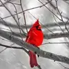 bethoppermancloud - @bethoppermancloud - TikTok