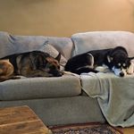 Beth Oravec - @bethoravec - Instagram