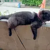 Beth Orena - @beth.orena - TikTok