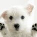 Beth Orlik - Facebook