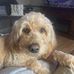 Beth Orndorff - Facebook
