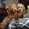 Beth Orndorff - @beth.orndorff5 - TikTok