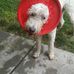 Beth Orner - Facebook
