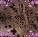 Beth Orner - Facebook