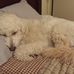 Beth Orner - Facebook