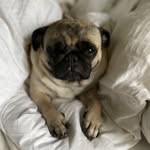 Beth Orner - @beth_orner - Instagram