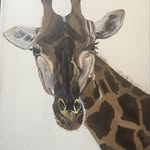 Beth Orr - @bethorr22 - Instagram