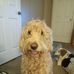 Beth Osborn - Facebook