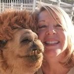 Beth Osborne - @bethosborne1801 - Instagram