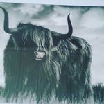 beth Osborne - @beth_osborne10 - Instagram